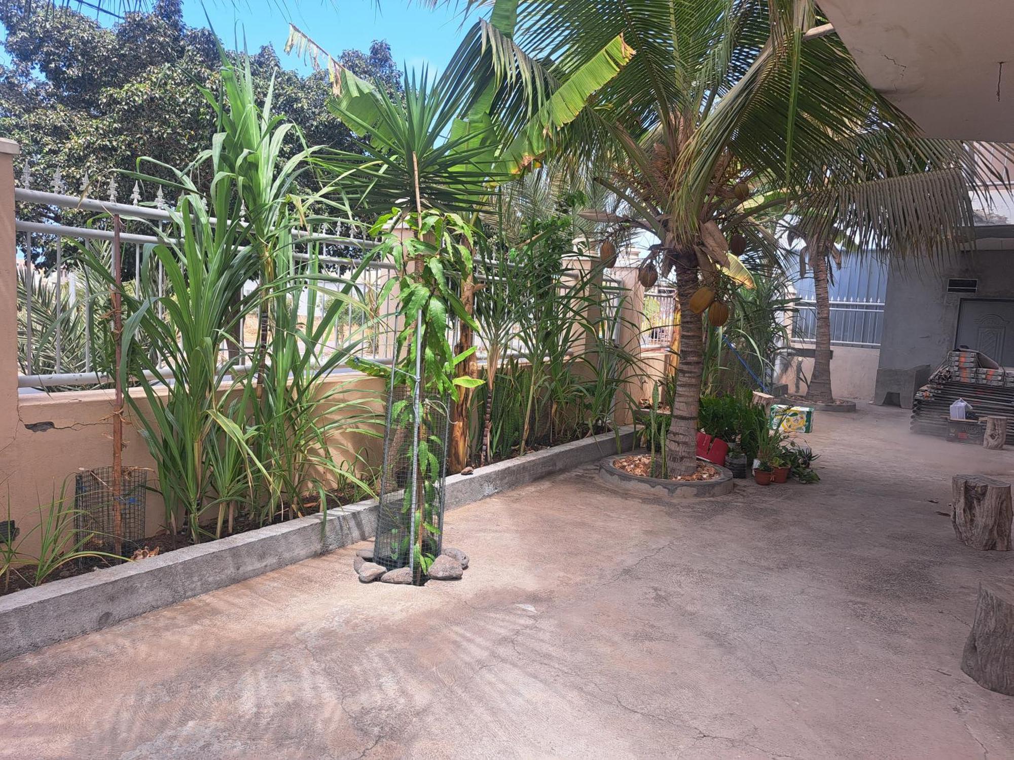 تارافال Barros Homestay المظهر الخارجي الصورة