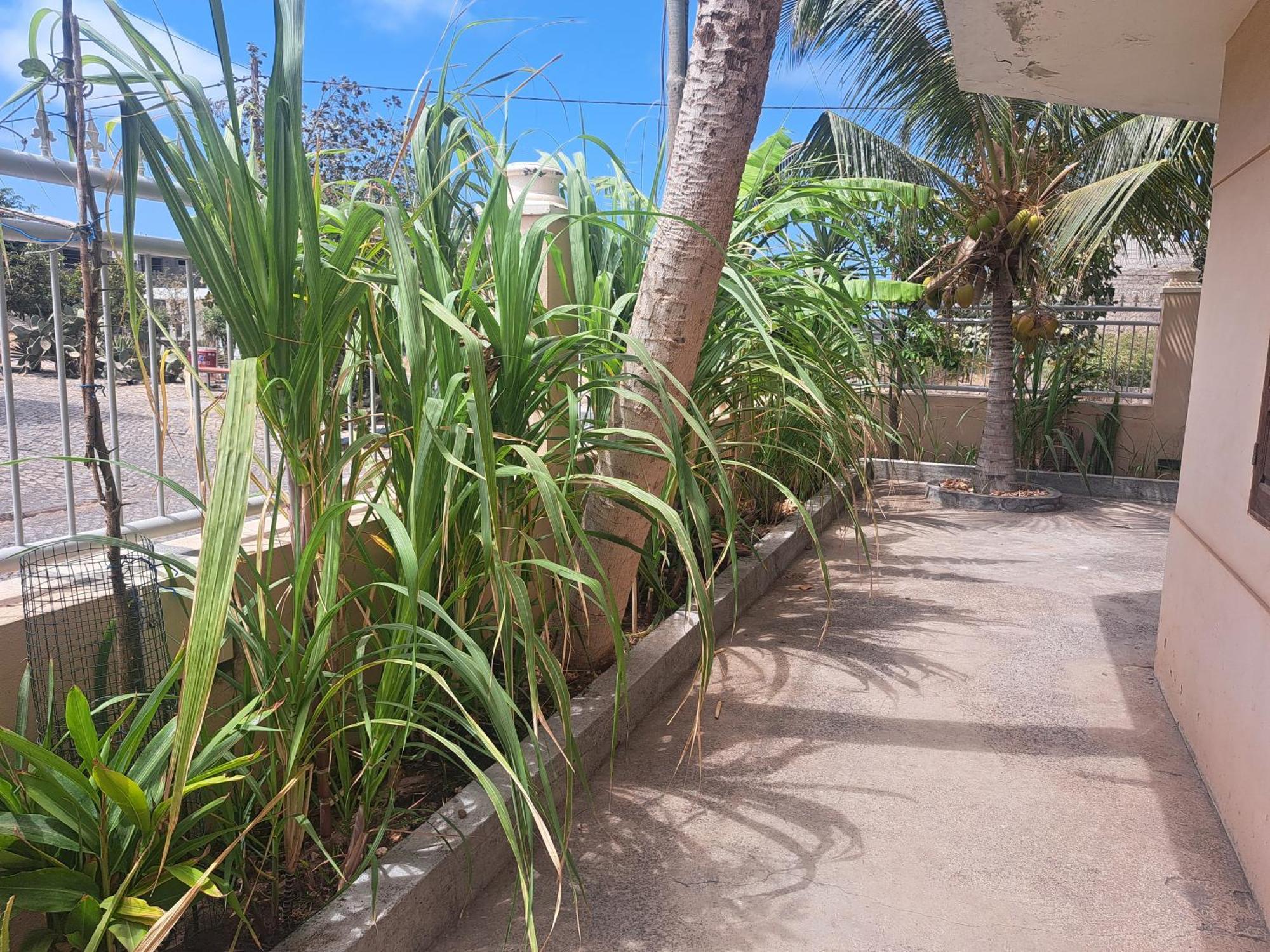 تارافال Barros Homestay المظهر الخارجي الصورة